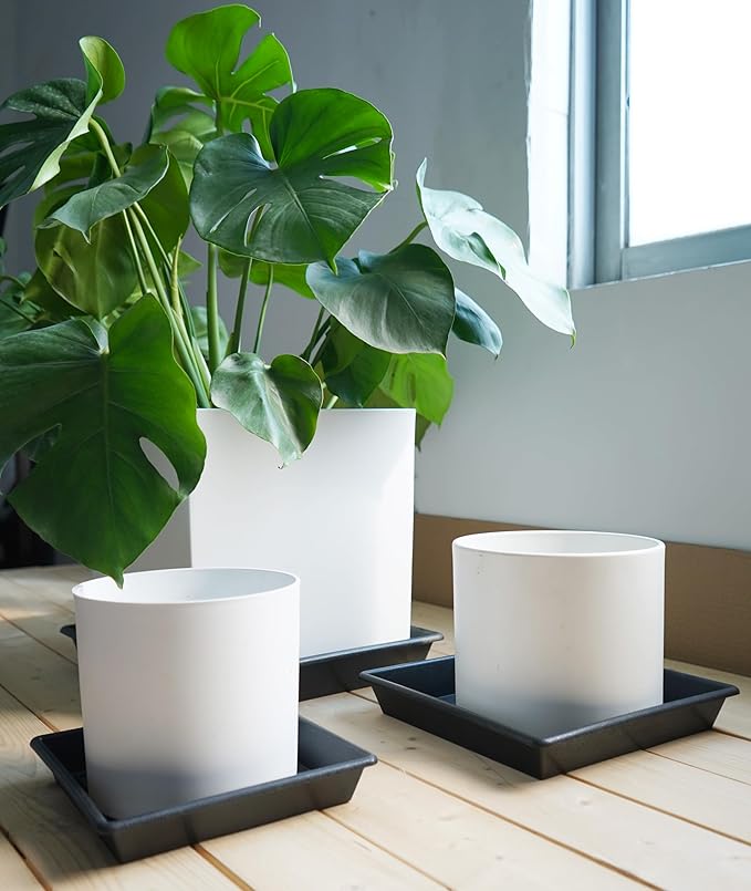 Square Plant Saucer 12 Inch 5 Pack 8 10 12 14 16 18 20 Inch, Plant Trays for Pots Heavy Duty Plastic Plant Saucers for Indoors Outdoors, Flower Pot No Holes Plant Drip Trays