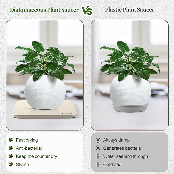 Plant Saucer, 8" Instantly Dry Diatomaceous Earth Stone Prevents Moisture Buildup, Flower Plant Tray Pot Saucer Keep Counter and Floors Dry and Clean (2 Pack) -Light Grey