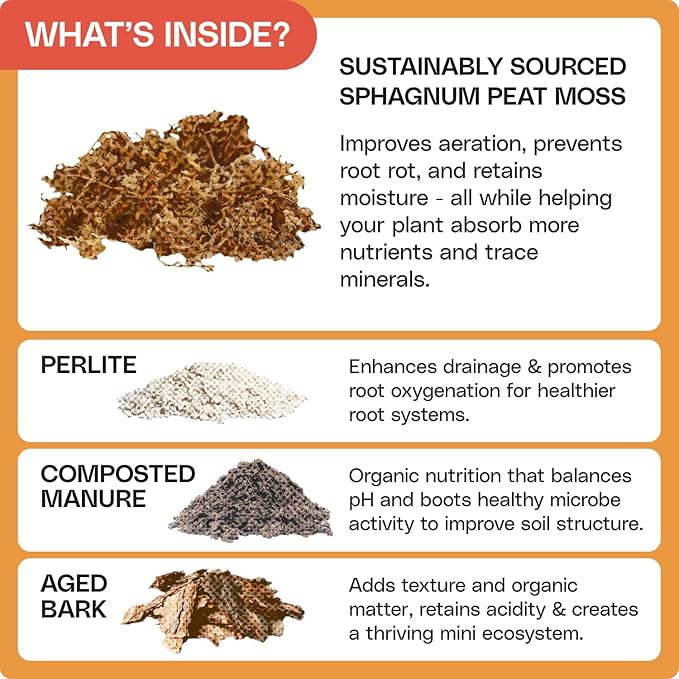 Flourish Plant Organic All-Purpose Plant Food + Organic Houseplant Soil Plant Revive Bundle