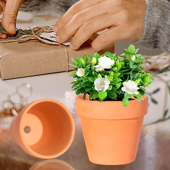 22Pcs 3 Inch Terracotta Pots, Clay Flower Pots Cactus DIY Flower Pots with Drainage Hole,Great for Plants Garden Windowsill Indoor & Outdoor Wedding Favors Gifts