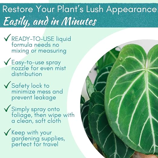 Houseplant Leaf Shine Spray – All-Natural Leaf Cleaner and Gloss for Healthy Shine & Better Photosynthesis | Perfect for House Plants and Foliage | 8 oz