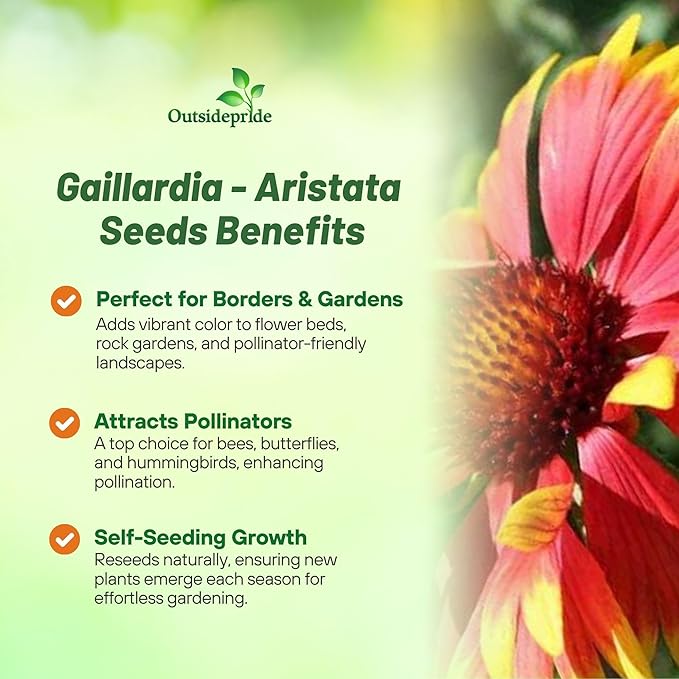 Outsidepride Gaillardia Aristata Red Blanket Flower Seeds for Planting - 1/4 lb Perennial Wildflower Seeds, Drought-Tolerant for Xeriscaping, Borders, Pollinator Gardens, or Wildflower Mixes