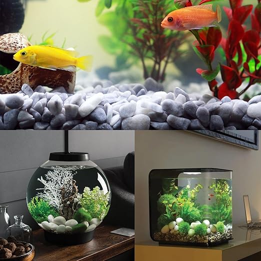 White Rocks for Landscaping, 20 lbs Large River Rocks for Garden, 2-3 Inch Pebbles for Indoor Plants, Decorative White Stones Ideal for Fish Tank, Vases