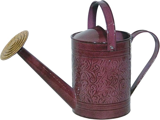 Robert Allen MPT01185 Metal Watering can, 1 Gallon, Stormy Purple