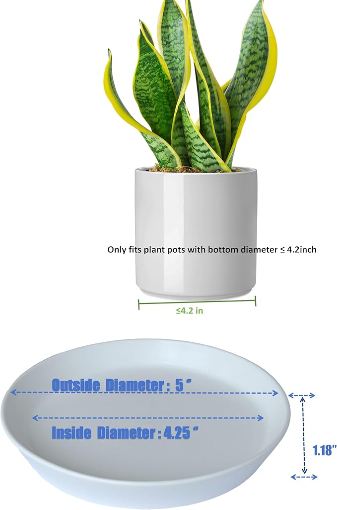 4 Pack of Plant Saucer, 5 inch Glazed Ceramic Plant Tray, Deep Drainage Tray for 4 Inch Flower Pot,Plant Dish Plate to Catch Water for Indoor & Outdoor