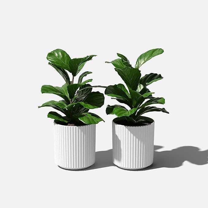 Veradek Demi Series Round Planter for Porch, Patio, Backyard | Durable Plastic-Stone Composite Material | Modern Décor for Tall Plants, Flowers