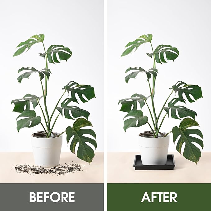 NATSUKY Square Plant Saucer 12 Inch 2 Pack, 8 10 12 14 Inch Plant Trays for Indoors Heavy Duty Plastic Flower Plants Saucers for Pots Outdoors No Holes Drip