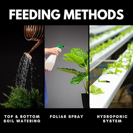 Lush Leaf | Plant Food (Snake Plant)