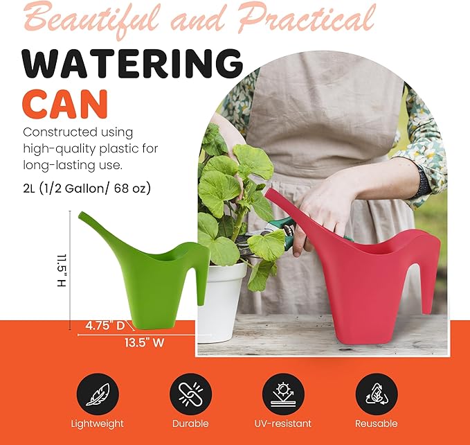 Mintra 1/2 Gallon Plant Watering Can, Indoor Outdoor Water Can for Plants, Long Spout Plastic Water Pitcher for Watering Flower Succulent, Durable and Lightweight, 2L/68 oz, 1 Pack, Teal
