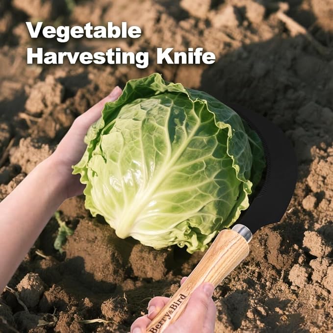 Berry&Bird Grass Sickle with Sawtooth, Heavy Duty SK5 Carbon Steel Blade Sickle Knife Scythe Garden Tool, Brush Clearing Sickle Weeding & Harvesting Tool for Gardeners/Farmers - Ashwood Handle