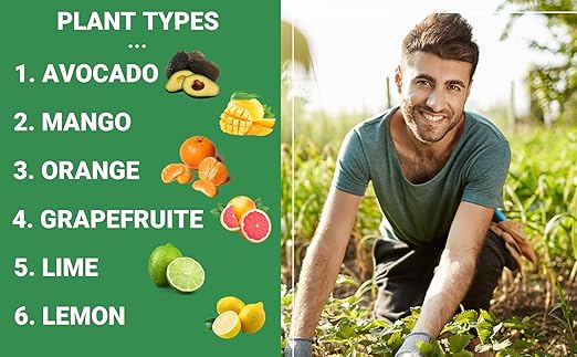 6-4-6 Avocado and Citrus Tree Professional Fertilizer Plant Food for Outdoor/Indoor Gardening; Quick-Release Nitrogen Fertilizer; Orange, Lime, Avocado and Lemon Tree Fertilizer (4 QUARTS)