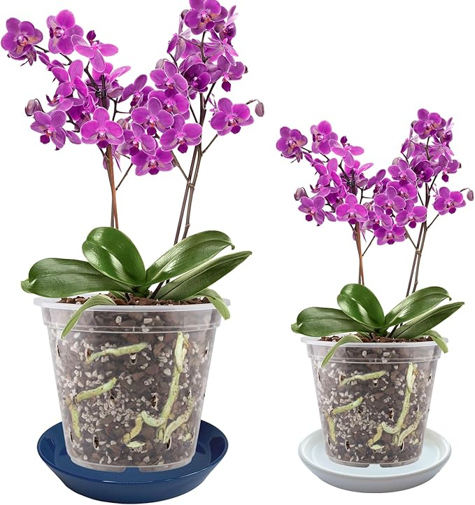 2 Pack Ceramic Plant Saucer 4 Inch, Heavy Duty Plant Pot Tray for Indoor & Outdoor, Glazed Ceramic Plant Drip Trays