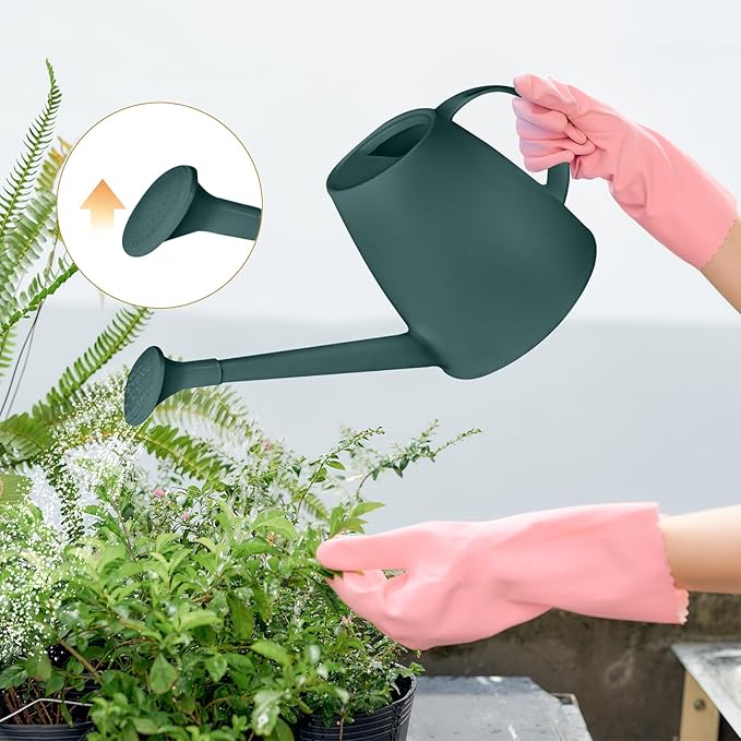 Plastic Watering Can - 1/2 Gallon - Blackish Green