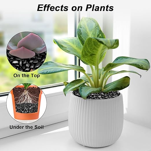 Pebbles for Indoor Plants,Virekm River Rocks,Decorative Ornamental Pebbles,Garden Landscaping Stones Gravel Filler for Home Decoration Flower Bed Fish Tank Plants Vases Succulents (10 Pounds)