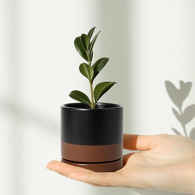 D'vine Dev Set of 3 Plants Pots, 3.5 Inch Ceramic Planter Pot for Plants with Drainage Hole and Saucer, Black/Speckled Tan, 94-N-A-7
