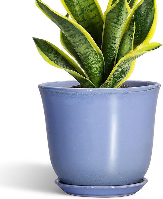 Ceramic Pots for Plants - 8 Inch Planter for Indoor Outdoor, Round Flower Pot with Drainage Hole and Saucer, Modern Planter, Home Garden Apartment Decor, Gifts for Plant Lovers, Purple-Blue