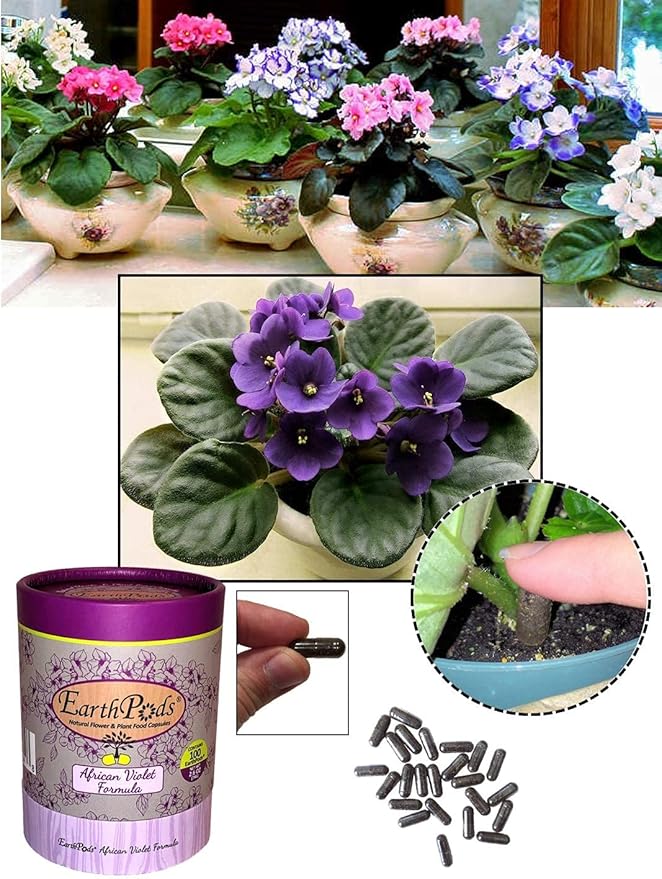 EarthPods® Organic African Violet Fertilizer Spikes – 100 African Violet Food Capsules - Made in USA
