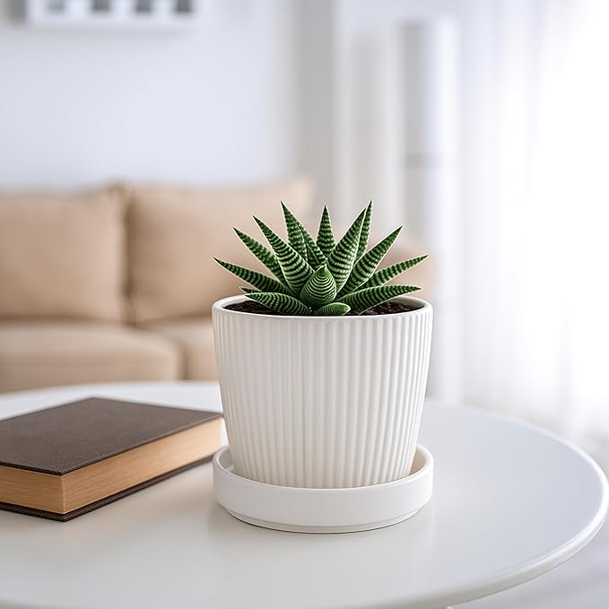 D'vine Dev Modern Round 3.7 Inch Ceramic Plant Pot Saucer, Planter Pot Drainage Tray for Indoor Plants, Matte White, 97-T-A-1