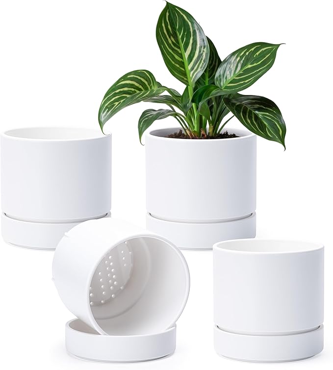 Phoenix Vine 6 Inch Planter Pot with Drainage Hole & Saucer, Deep Water Catch Tray, Straight Cylindrical Round Pot for Plants, Matte White, Pack of 4, 23-B-S-4
