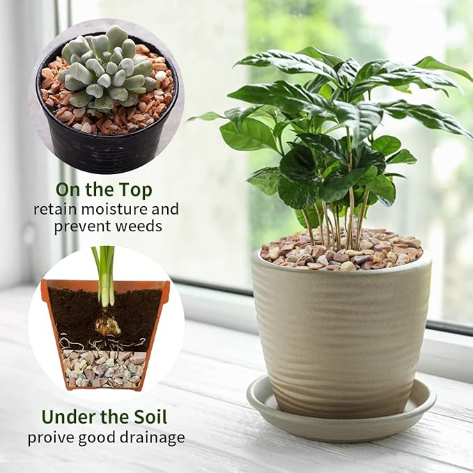 5lbs Natural Pea Gravel Pebbles, 3/8 Inch Decorative Succulent Rocks Pebbles for Indoor Plants. River Rocks for Vase and Outdoor Garden Landscaping Rocks