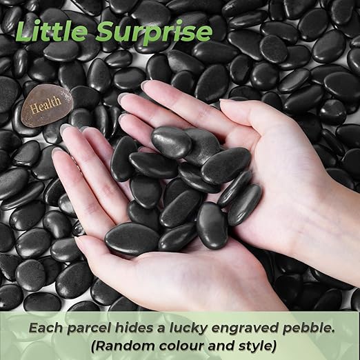 SIDONG 10 LB Black River Rocks, 0.4-1.2 Inches Highly Polished Pebbles for Indoor Plants, Decorative Stones for Plants, Fish Tank, Vases, Home Décor, Crafting, Garden Landscaping