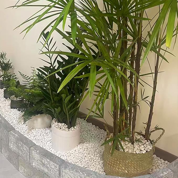 20 lbs White River Rocks for Landscaping, 0.5-1 Inch Pebbles for Indoor Plants, Decorative Stones for Succulent, Cactus, Vases, Aquariums, Crafting and Garden