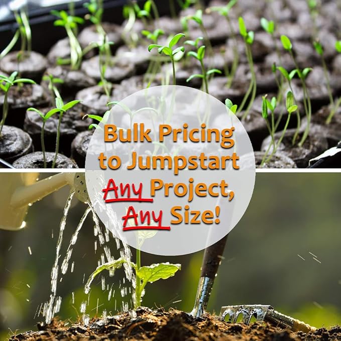 Hummingbird & Butterfly Wildflower Seed Mix - 1 Lb - Wild Flower Seed Mixture: Alyssum, Lemon Mint, Foxglove, More