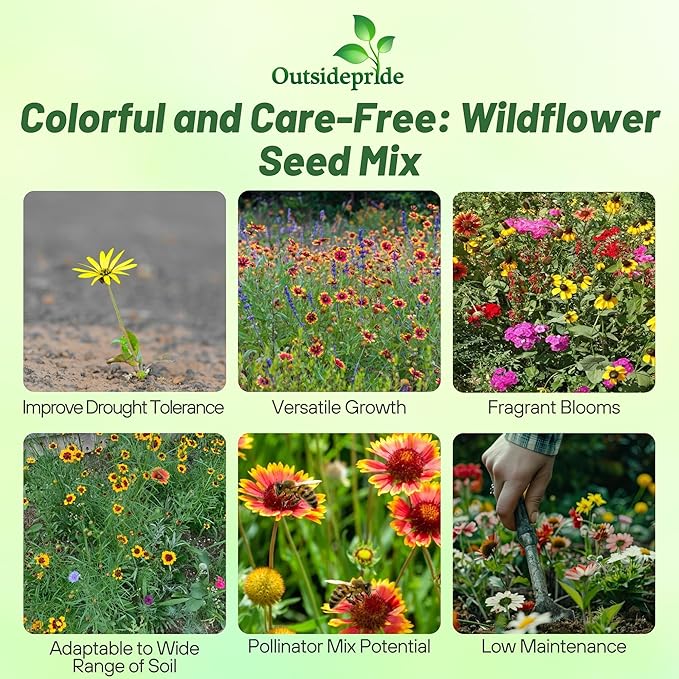 Outsidepride Southeast Wildflower Seed Mix - 5 lbs Highly Adaptable, Easy to Grow, Low-Maintenance Mix of Annual & Perennial Wildflower Seeds for Natural Landscapes in Southeastern States