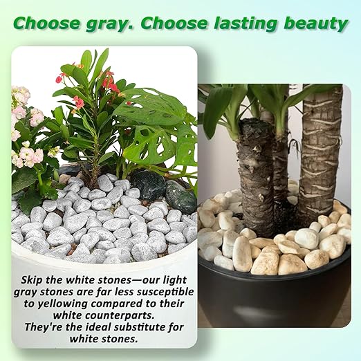 6LB Natural Grey Gravel, 0.8"-1.8" Large River Rocks,Pebbles for Indoor Outdoor Plants Pots Aquarium Fish Tank Pathways Backyard