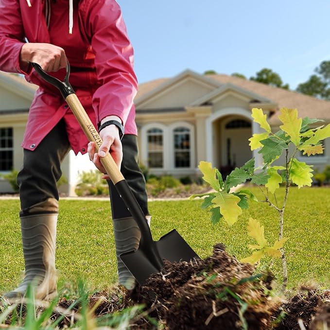 41 Inch Round Point Shovel for Digging,Heavy Duty Garden Shovel with D-Handle,Wooden Handle,Ideal for Gardening,Landscaping,Beach,and Snow Removal