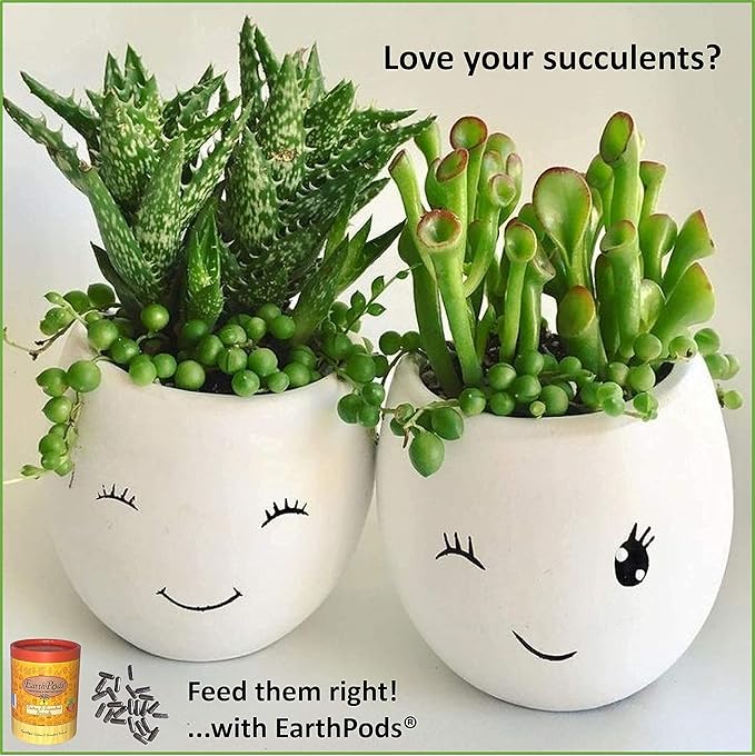 EarthPods® Organic Succulent & Cactus Fertilizer Spikes – 100 Plant Food Capsules - Made in USA