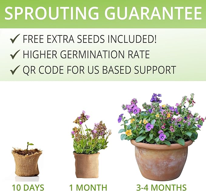 AVERGO Wildflower Seed Mix Growing Kit - Includes Perennial & Annual Wild Flowers, Burlap Planters, Soil, Wooden Box, and Gardening Tools for Indoor Garden and Patio Planting