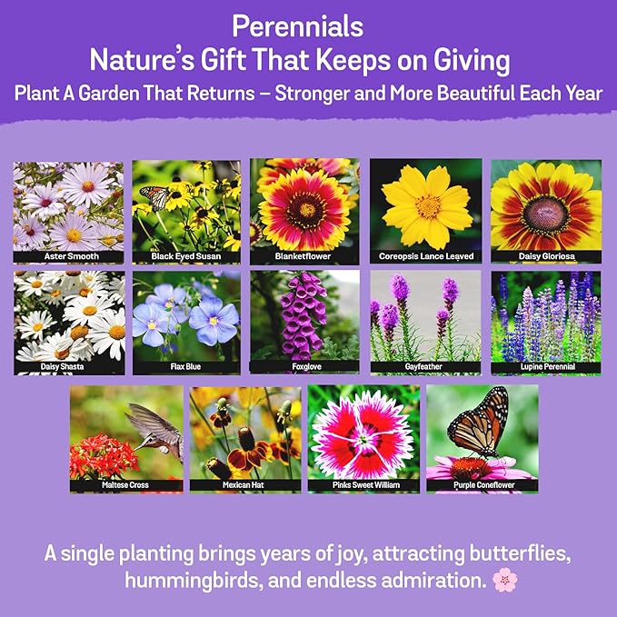 NatureZ Edge Wildflower Seeds Mix – 2 Oz, 85,000 Seeds, 35 Variety Perennial & Annual Flower Seeds to Plant Outside, Bulk Wildflower Seeds, Wild Flower, Semillas de Flores