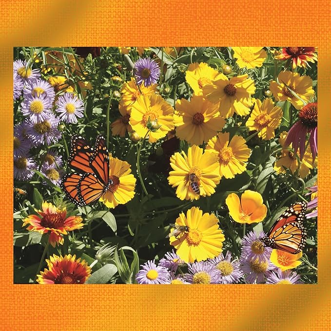 Earth Science Wildflower Pollinator Mix— 6 lb—3-in-1 Mix with Premium Wildflower Seed, Plant Food and Soil Conditioners, Non-GMO, for Bees, Hummingbirds, Butterflies, Pollinators