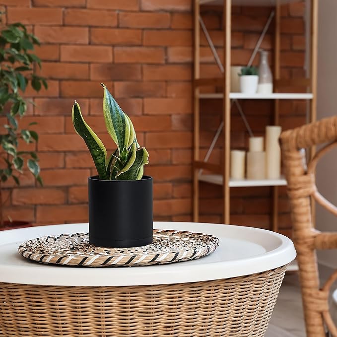 D'vine Dev 4 Pack 6 Inch Modern Plastic Plant Pots, Small Garden Planters for Plant with Drainage Holes and Saucers, Black Color, 74-Y-J-2