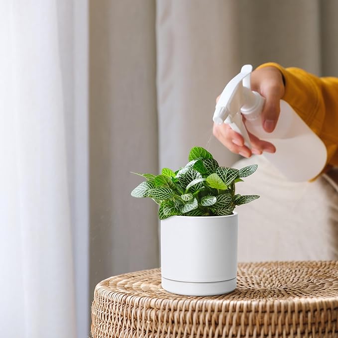 D'vine Dev Set of 3 Plants Pots, 3.5 Inch Ceramic Planter Pot for Plants with Drainage Hole and Saucer, White, 94-N-A-1