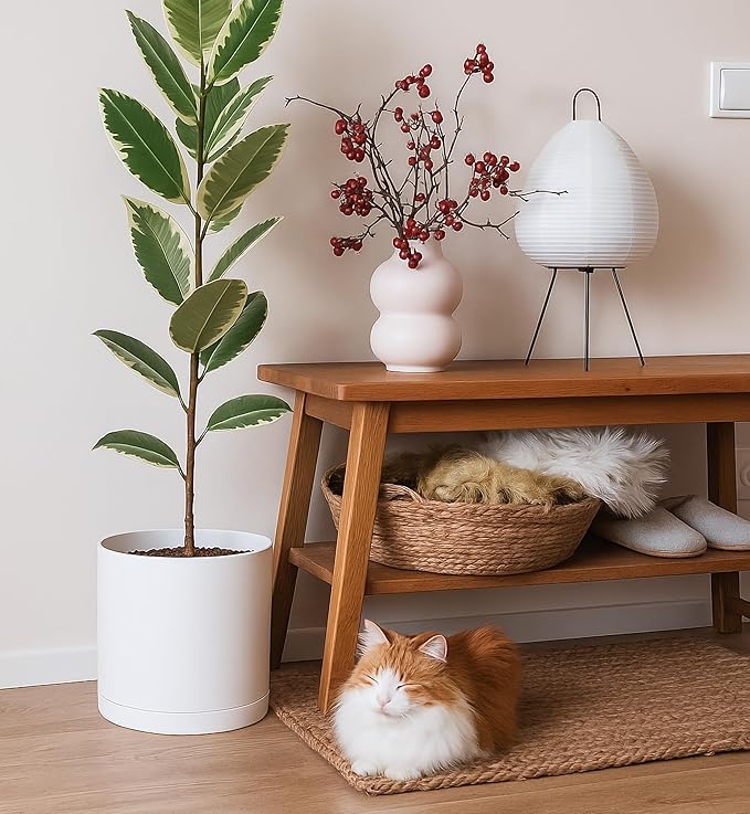 D'vine Dev 10 Inch Plastic Planter Pots for Plant Pot with Drainage Hole and Seamless Saucers, White Color, 74-X-A-2