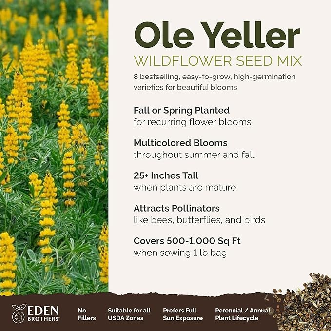 Eden Brothers Ole Yeller Wildflower Mixed Seeds for Planting, 1 lb, 480,000+ Seeds with African Marigold, Sunflower | Attracts Pollinators, Plant in Spring or Fall, Zones 3, 4, 5, 6, 7, 8, 9, 10