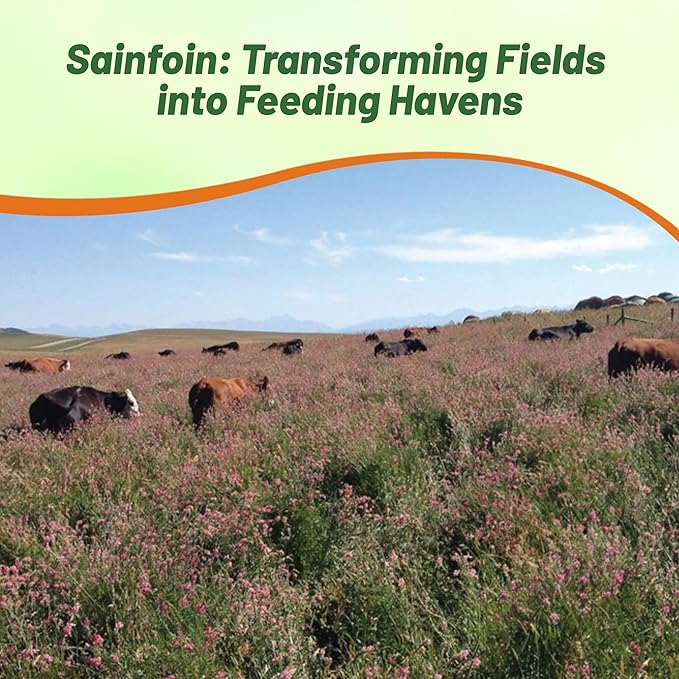 Outsidepride Sainfoin Seeds - 5 lb. Perennial, Drought-Tolerant & Pollinator Friendly, Legume Seeds for Planting Prolific & Deep Rooted Flowers, Great for Hay, Pasture, and Wildlife Grazing