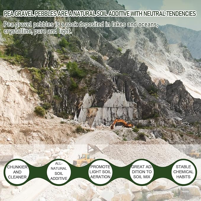 5 LBS White Pea Gravel, Natural Succulent and Cactus Gravel Pebbles, Pebbles for Indoor Plants, Natural Gardens Mulching, for Houseplants, for Aquarium Gravel, to Maintain Soil Aeration(4-6mm)