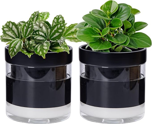 Phoenix Vine 6 Inch Self Watering Planter Pot, Black Terracotta Clay Pot with Glass Reservoir for Indoor Plants, Herbs, Flowers, Set of 2, 52-C-F-2