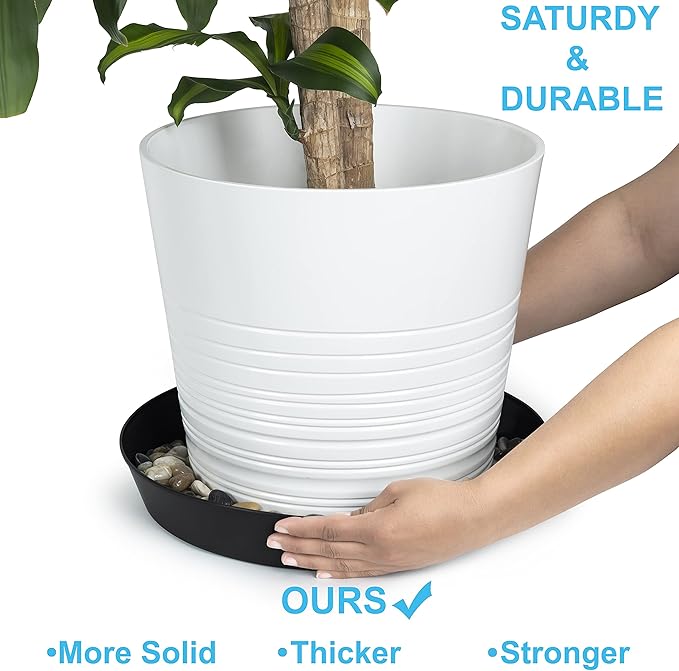 Saucers 8 Inch (6.3 Inch Base) Case of 100 Plant Saucers - Black Colored Polypropylene Made in USA