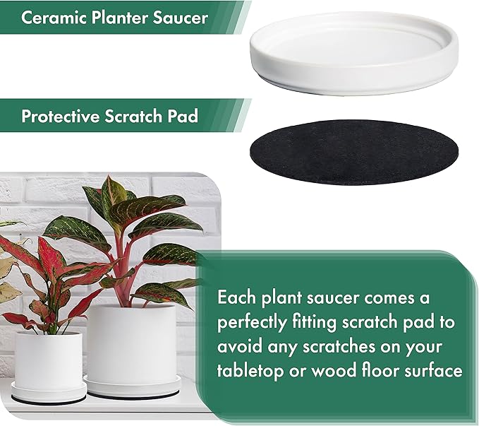 D'vine Dev Modern Round 5.4 Inch Ceramic Plant Pot Saucer, Planter Pot Drainage Tray for Indoor Plants, Set of 2, Matte White, 97-T-A-22