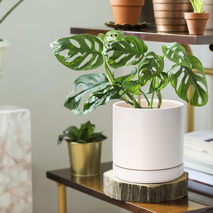 D'vine Dev Set of 2 Plants Pots, 6.5 Inch Ceramic Planter Pot for Plants with Drainage Hole and Saucer, Oatmeal, 94-V-C-8