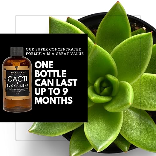 Lush Leaf | Plant Food (Cacti Succulent)