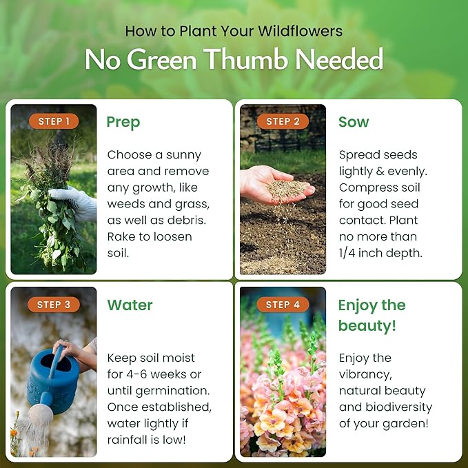 Created By Nature Hummingbird & Butterfly Wildflower Seed Mix, 18 Varieties, 60,000 Wildflower Seeds