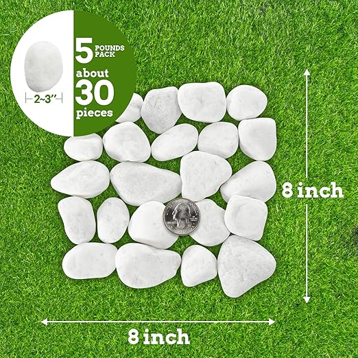 White Rocks for Plants, 2-3 Inch Large Pebbles for Indoor Plants, 5 lbs River Rocks Decorative White Stones, Ideal for Fish Tank, Vases, Crafting, Home Decor and Garden Landscaping Rocks
