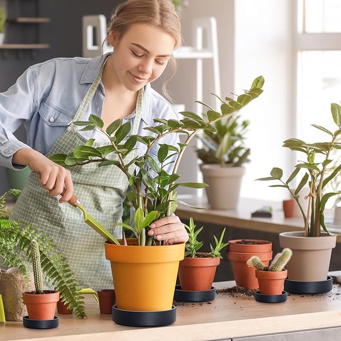 Phoenix Vine 6 Inch Plastic Plant Saucer Water Drip Tray, Heavy Sturdy Round Plant Drainage Tray for Indoors Outdoor, Set of 2, Matte Black, 21-TY-6B-2