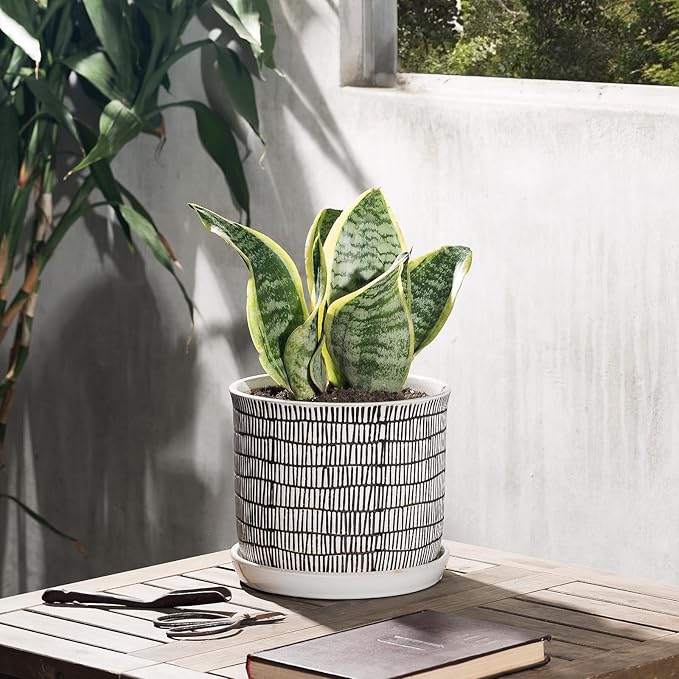 8 Inch Plant Pot: Ceramic Planter with Drainage Hole & Saucer for Indoor Outdoor Plants - Flowerpot with Bonded Tray for Home Office - Mixed Stripe Debossed