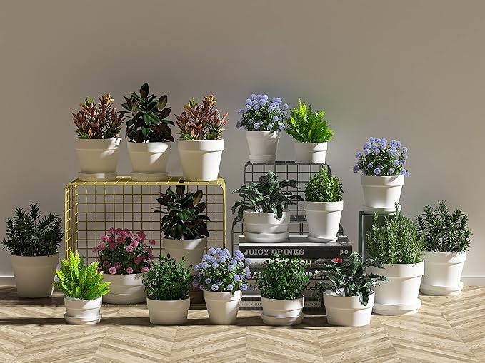 Fcacti 6 Pack 4.5 Inch White Terra Cotta Pots with Saucer, Clay Planters with Drainage Hole, Indoor/Outdoor Plants, Succulent, Cactus Flower Pots